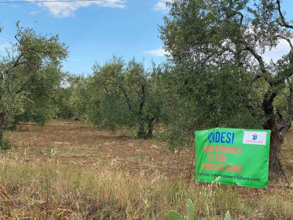 terreno agricolo in vendita a Matera