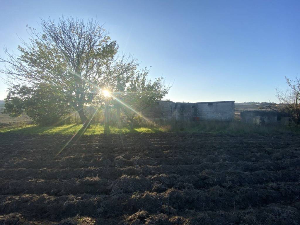 terreno agricolo in vendita a Matera