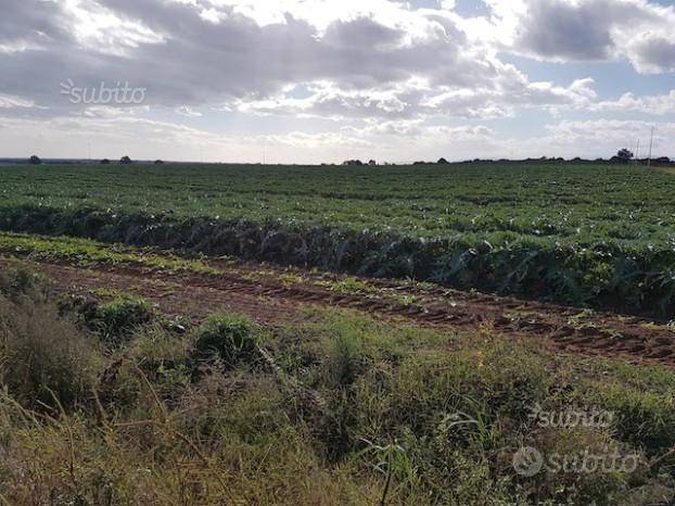 terreno agricolo in vendita a Matera