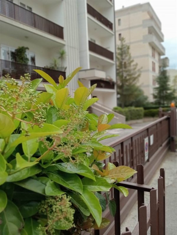 appartamento in vendita a Matera in zona Centro Città