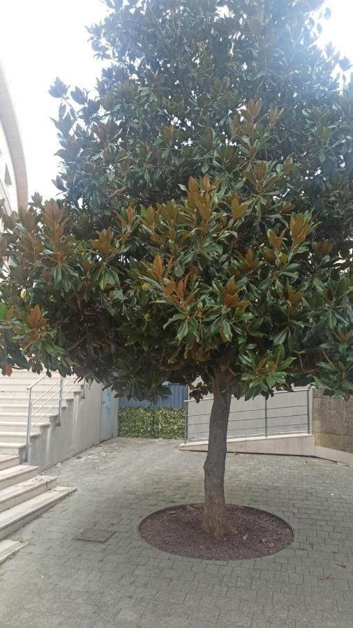 appartamento in vendita a Matera