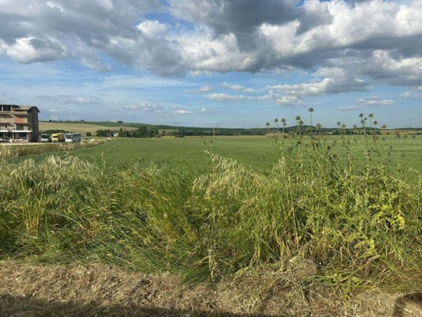 terreno agricolo in vendita a Matera