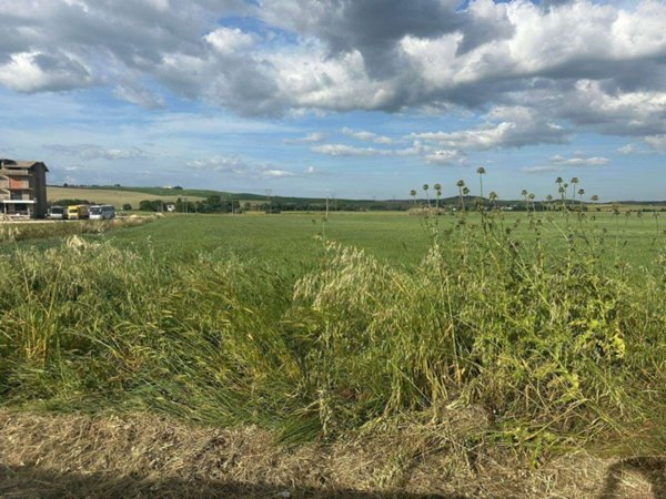 terreno agricolo in vendita a Matera