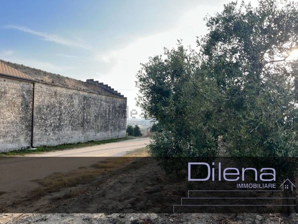 esavano in vendita a Matera in zona Borgo Venusio