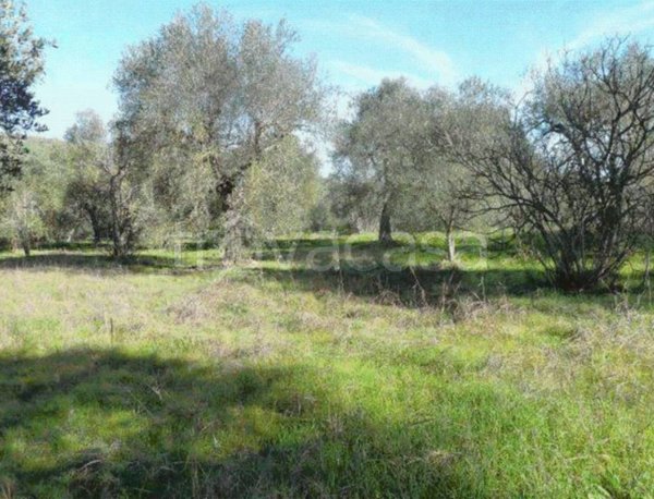 appartamento in vendita a Matera