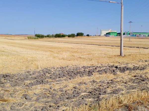 terreno agricolo in vendita a Matera