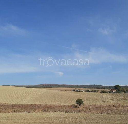 terreno agricolo in vendita a Matera