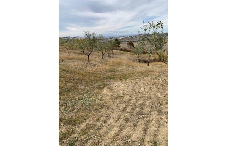 terreno agricolo in vendita a Matera in zona Centro Città