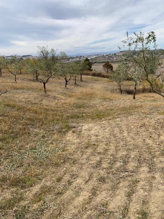 terreno agricolo in vendita a Matera in zona Centro Città