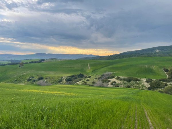 terreno agricolo in vendita a Matera in zona Rione Spine Bianche