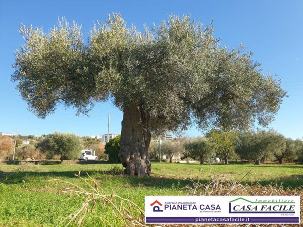 terreno agricolo in vendita a Matera