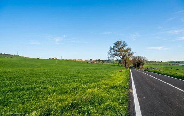 terreno agricolo in vendita a Matera