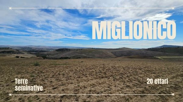 terreno agricolo in vendita a Miglionico