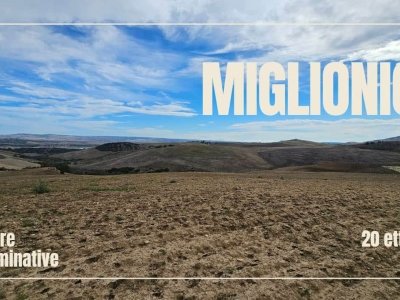 terreno agricolo in vendita a Miglionico
