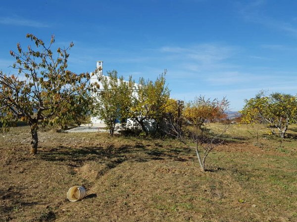 terreno agricolo in vendita a Miglionico