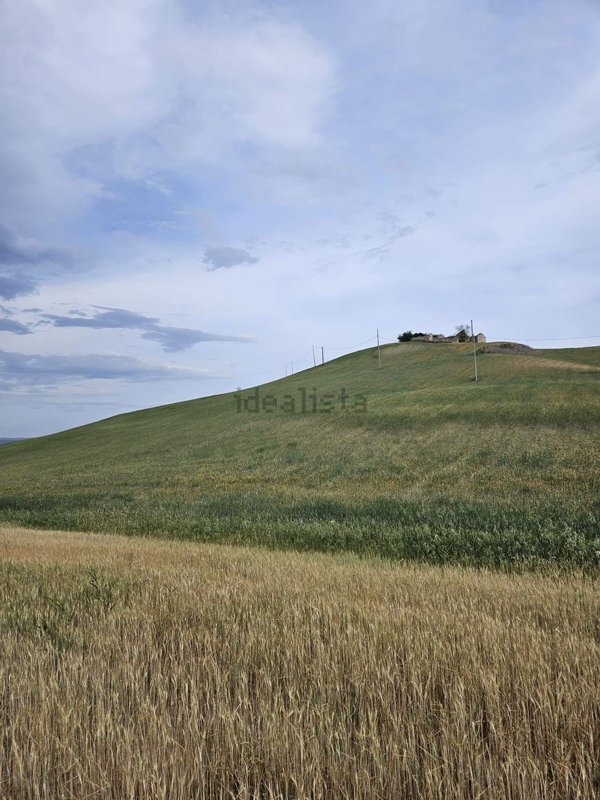 terreno agricolo in vendita a Miglionico