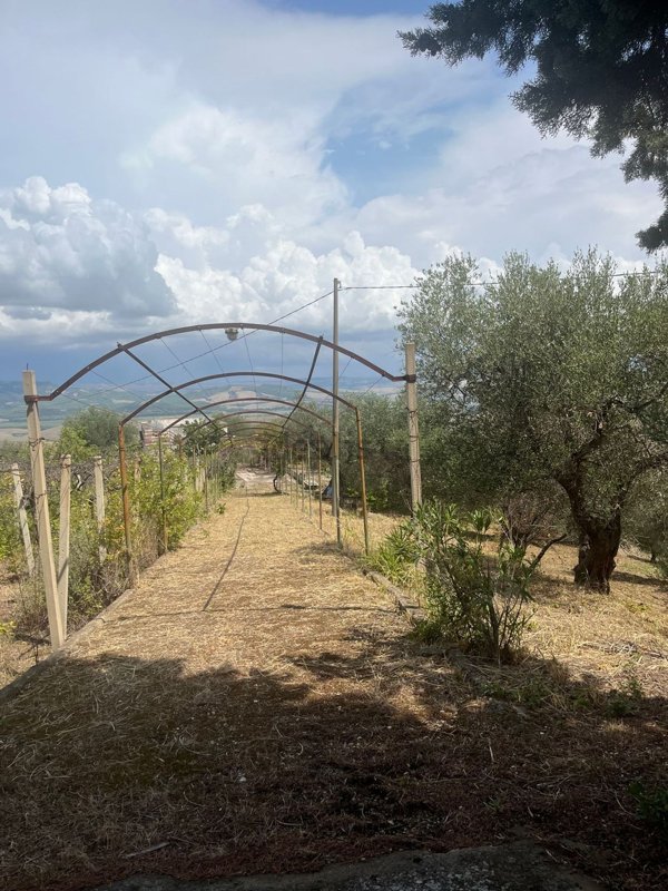 appartamento in vendita a Miglionico