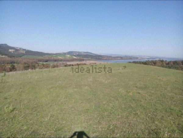 terreno agricolo in vendita a Miglionico