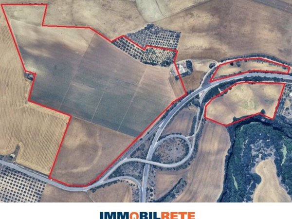 terreno agricolo in vendita a Miglionico