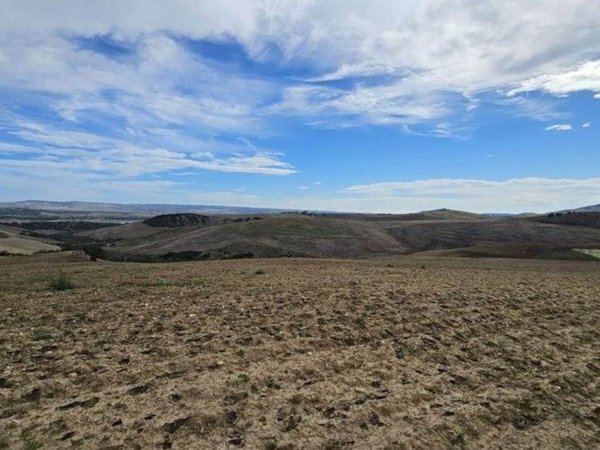 terreno agricolo in vendita a Miglionico