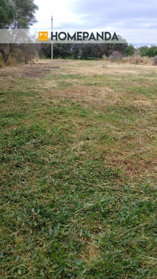 terreno agricolo in vendita a Montalbano Jonico