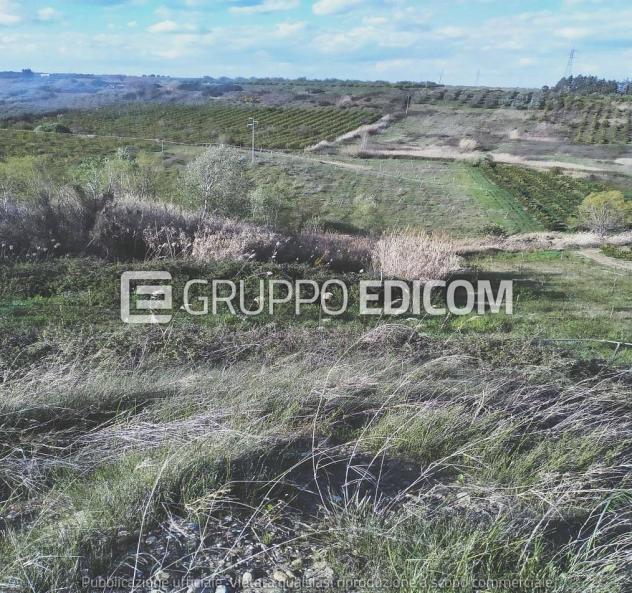 terreno agricolo in vendita a Montalbano Jonico