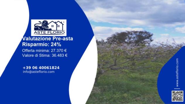 terreno agricolo in vendita a Montalbano Jonico