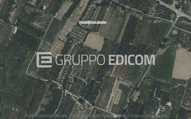 terreno agricolo in vendita a Montalbano Jonico