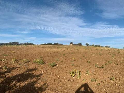 terreno agricolo in vendita a Montalbano Jonico