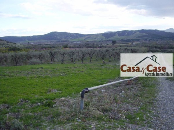 terreno agricolo in vendita a Montalbano Jonico
