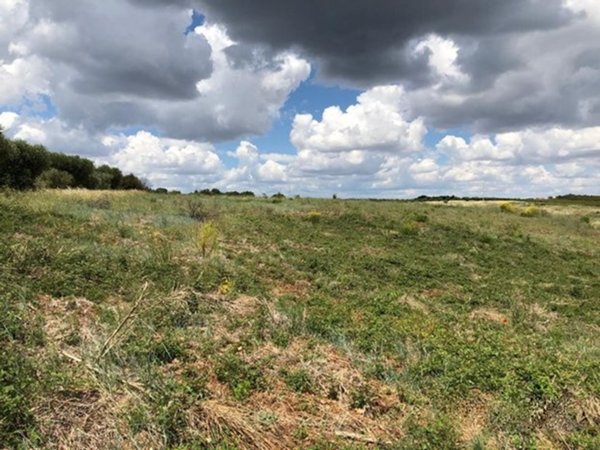 terreno agricolo in vendita a Montalbano Jonico
