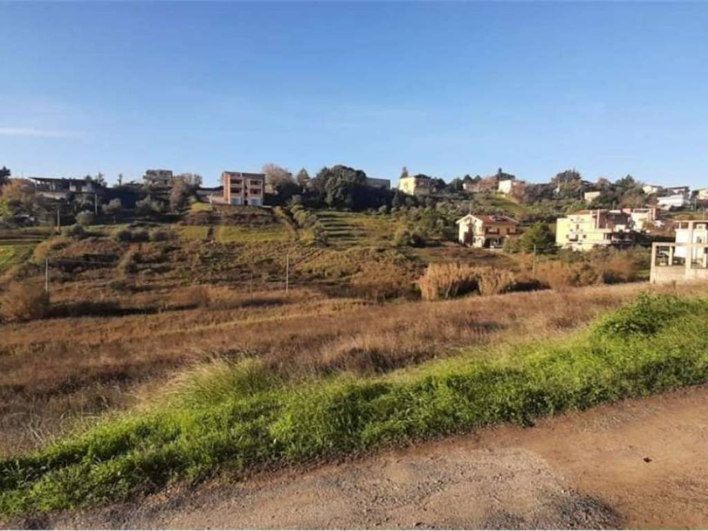 terreno agricolo in vendita a Montescaglioso