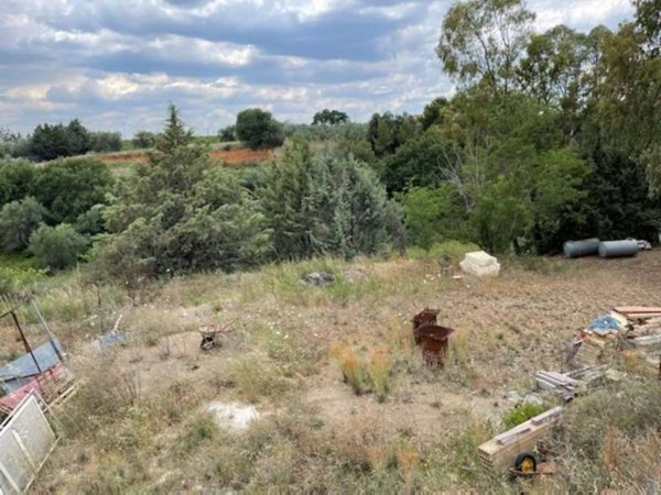 terreno agricolo in vendita a Montescaglioso