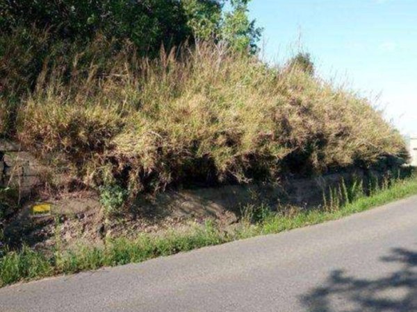 terreno agricolo in vendita a Montescaglioso