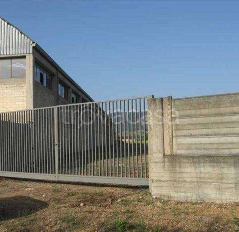 negozio in vendita a Montescaglioso