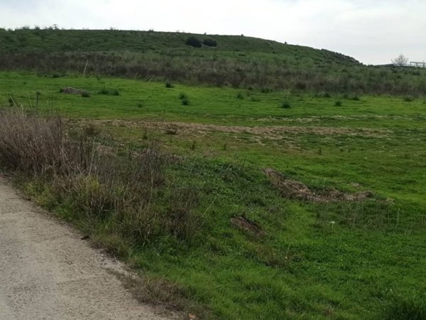 terreno agricolo in vendita a Montescaglioso
