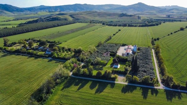 esavano in vendita a Montescaglioso