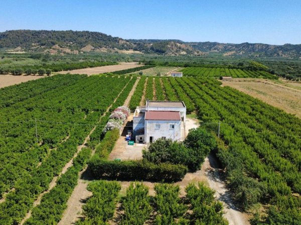 casa indipendente in vendita a Montescaglioso