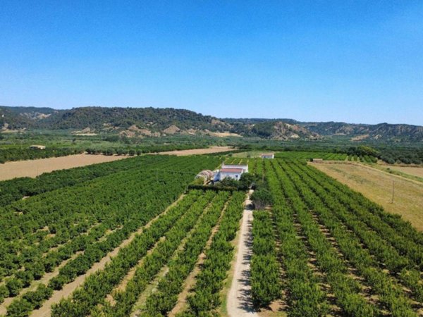 casa indipendente in vendita a Montescaglioso