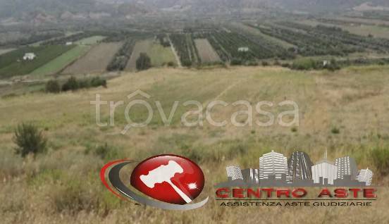 terreno agricolo in vendita a Montescaglioso