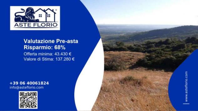 terreno agricolo in vendita a Montescaglioso