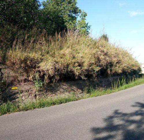 terreno agricolo in vendita a Montescaglioso