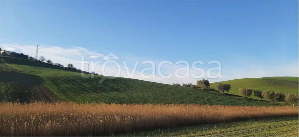 terreno agricolo in vendita a Montescaglioso