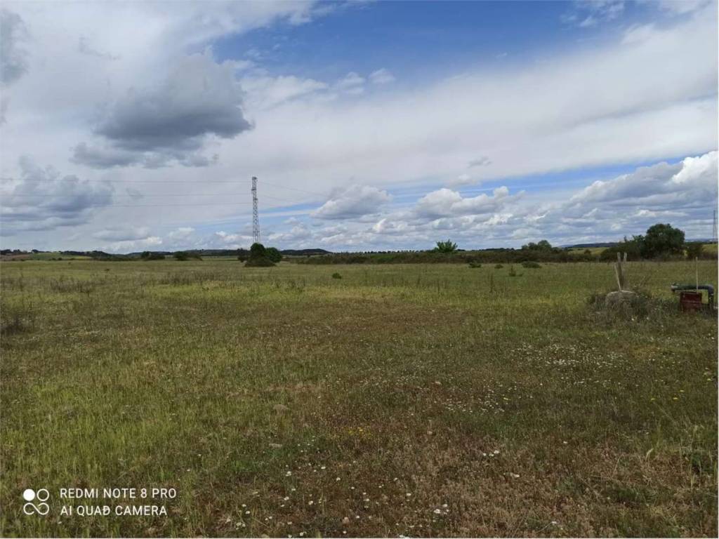 terreno agricolo in vendita a Montescaglioso