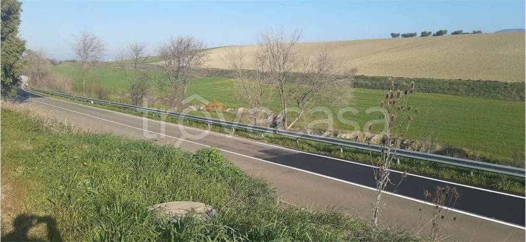 terreno agricolo in vendita a Montescaglioso