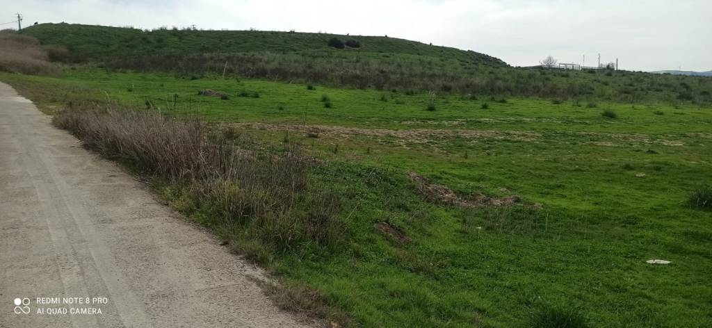 terreno agricolo in vendita a Montescaglioso