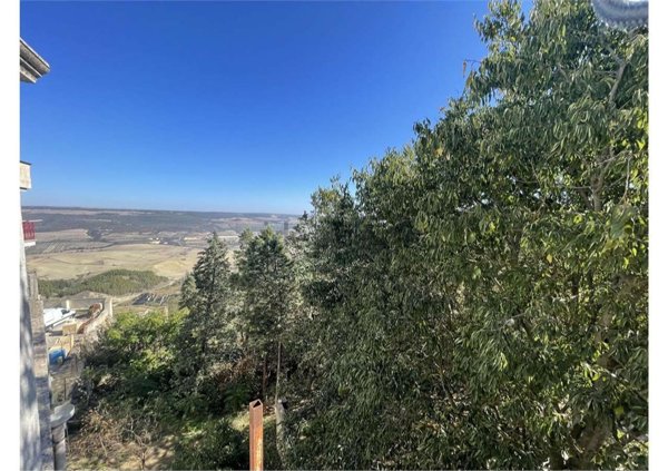 appartamento in vendita a Montescaglioso