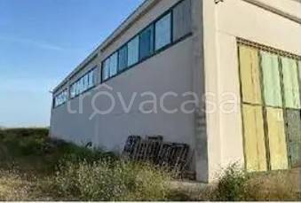 appartamento in vendita a Montescaglioso