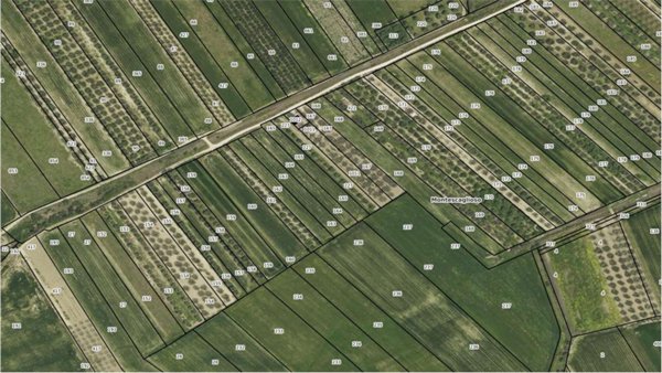 terreno agricolo in vendita a Montescaglioso