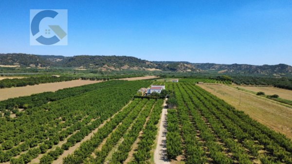 casa indipendente in vendita a Montescaglioso